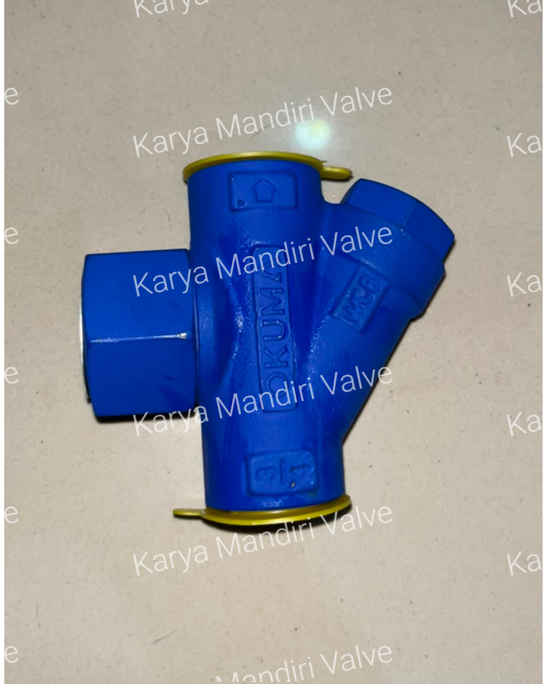 Steam Trap
